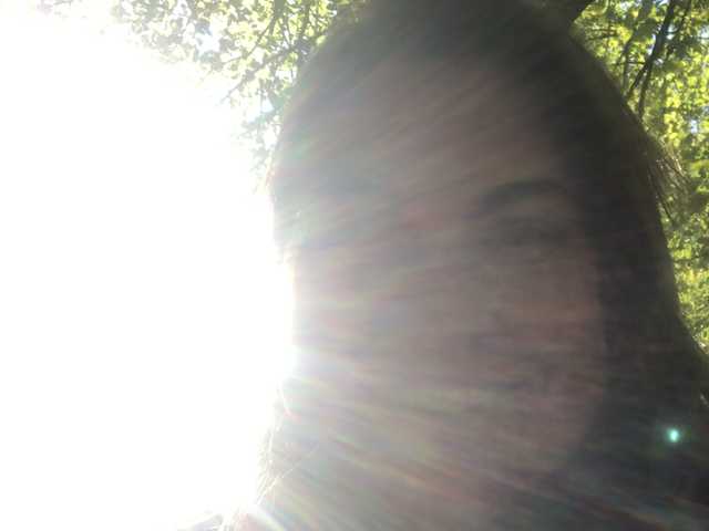 Foto del perfil taylorlee