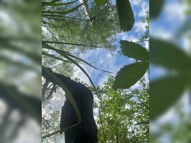Capturas de pantalla de transmisión Tr1xie