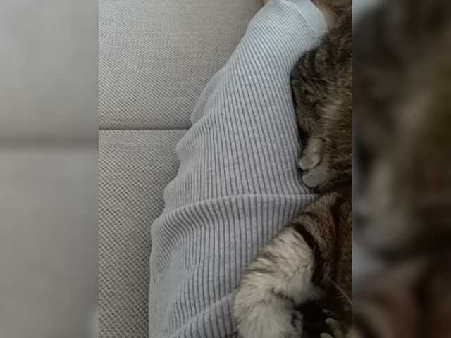 Capturas de pantalla de transmisión GolayaPravda