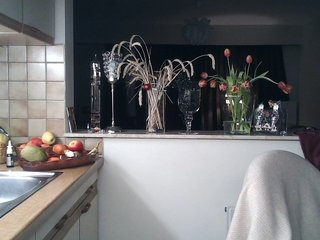 Chat de video erótico UllimOhi