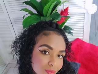 Chat de video erótico VannesaHills