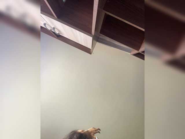 Capturas de pantalla de transmisión Varvara777a