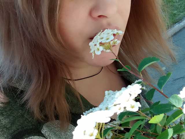 Foto del perfil 1BECHA1