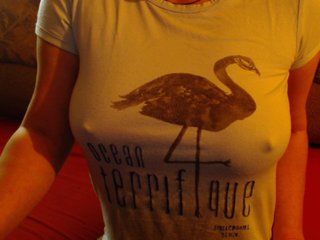 Foto del perfil 1BECHA1