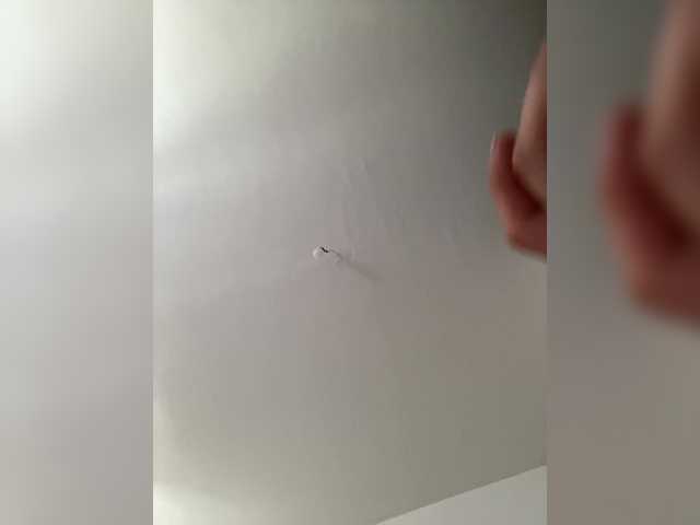 Capturas de pantalla de transmisión Vmeste