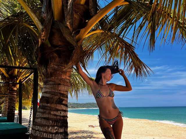 Foto del perfil webartiss