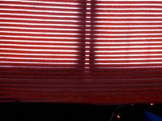 Capturas de pantalla de transmisión xannniex