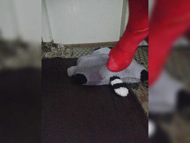 Capturas de pantalla de transmisión yarovaya